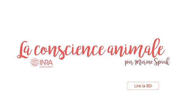 Conscience animale