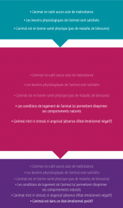 Qu'est ce que le bien-être animal