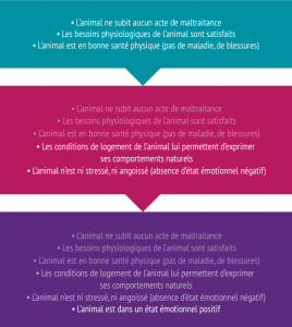 Qu'est ce que le bien-être animal