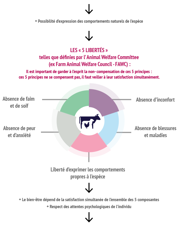 Schéma théorique pour différencier le bien-être et la bientraitance animale