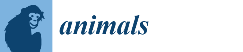 Animals magazine logo                                