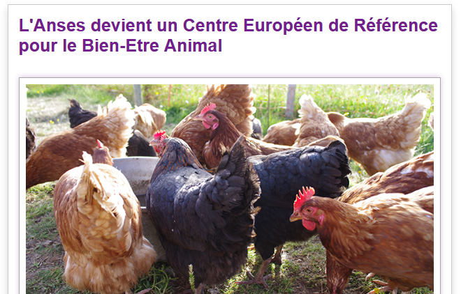 Anses devient centre européen de référence pour le bien-être animal