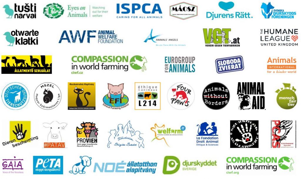 37 NGOs sign a letter to the European Commission and the Council of Europe                                 