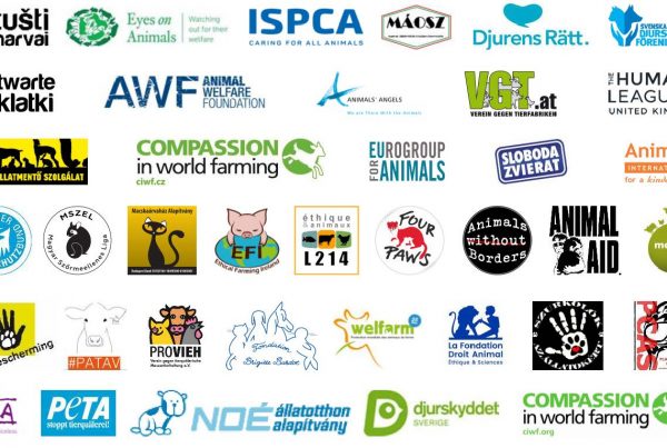 37 ONG signataires de la lettre à la Commission européenne et au Conseil de l’Europe