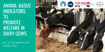 IDF Workshop on animal-based indicators to promote welfare in dairy cows