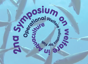 Logo du Symosium on Welfaire in Aquaculture