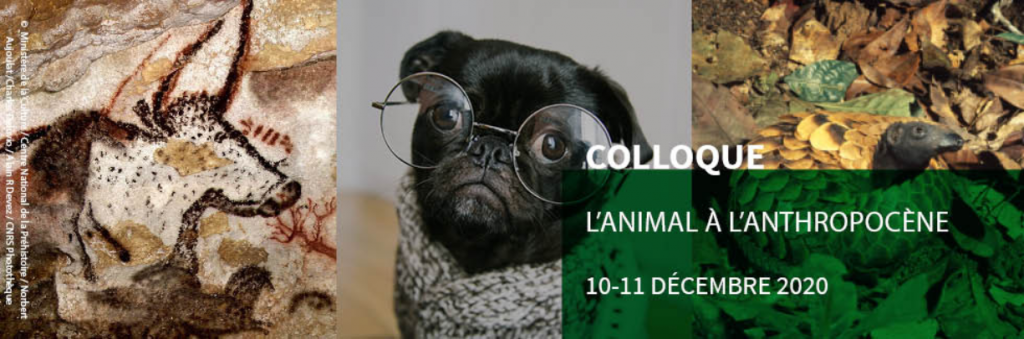 Logo du colloque l'Animal à l'Anthropocène