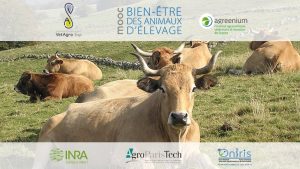 Image du MOOC Bien-être des animaux d'élevage