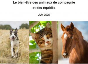 Couverture du Rapport Dombreval