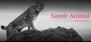 Logo de Savoir Animal