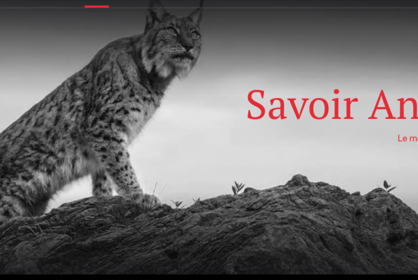Logo de Savoir Animal
