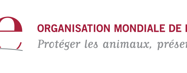 Logo de l'OIE