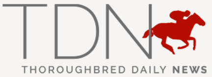 Logo de TDN
