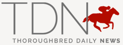 TDN logo