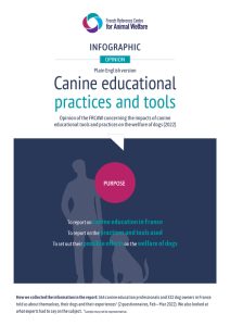 Première page EN Infographie Canine educational practices and tools