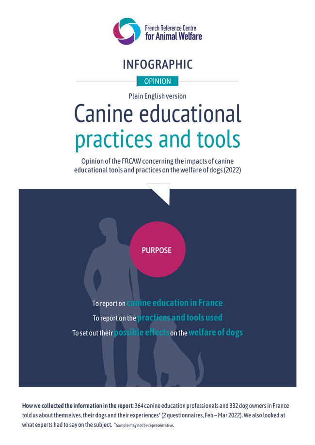 Front page EN Infographie Canine educational practices and tools