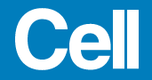 Logo de Cell