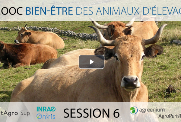 Image du MOOC Bien-être des animaux d'élevage session 6