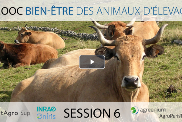 Image of the MOOC Farm Animal Welfare session 6