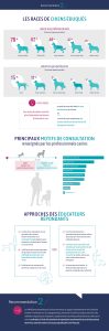 Infographie Pratiques et Outils Education Canine
