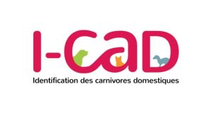 Logo I-CAD