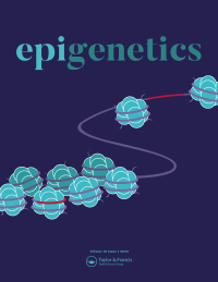 Cover of the journal Epigenetics