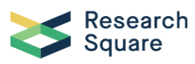 Logo de Research Square