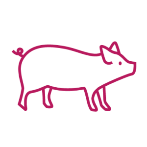 porc