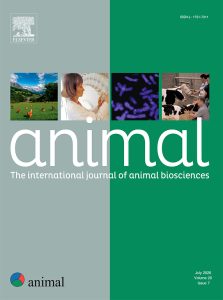 Animal Magazine - July 2026 Cover
