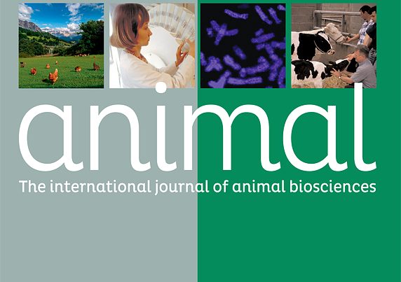 Animal Magazine - July 2026 Cover